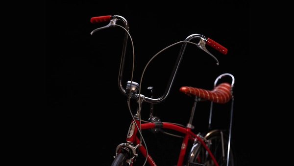 No Hands: The Wild Ride of the Schwinn Bicycle Company
