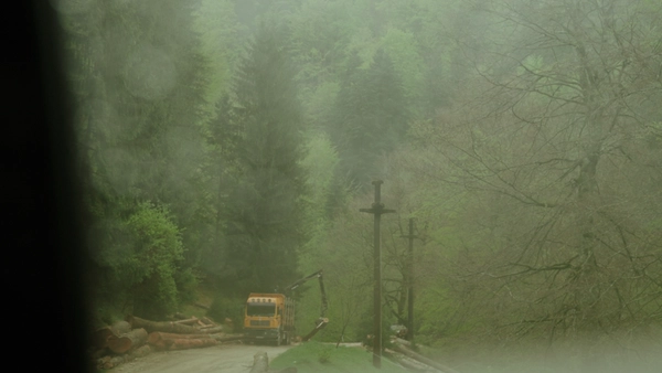 Wild East